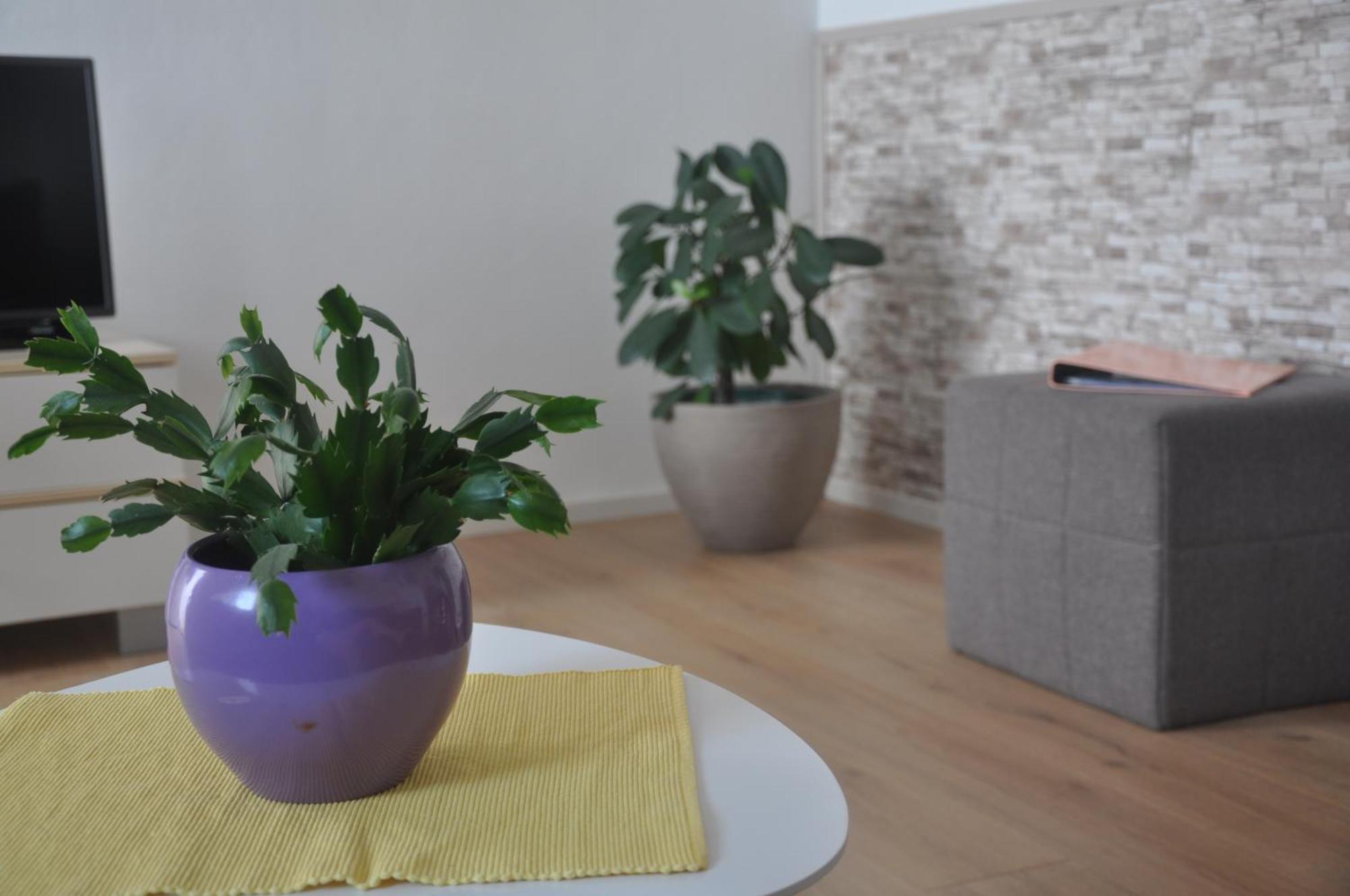 Apartman Mirna Ровинь Экстерьер фото